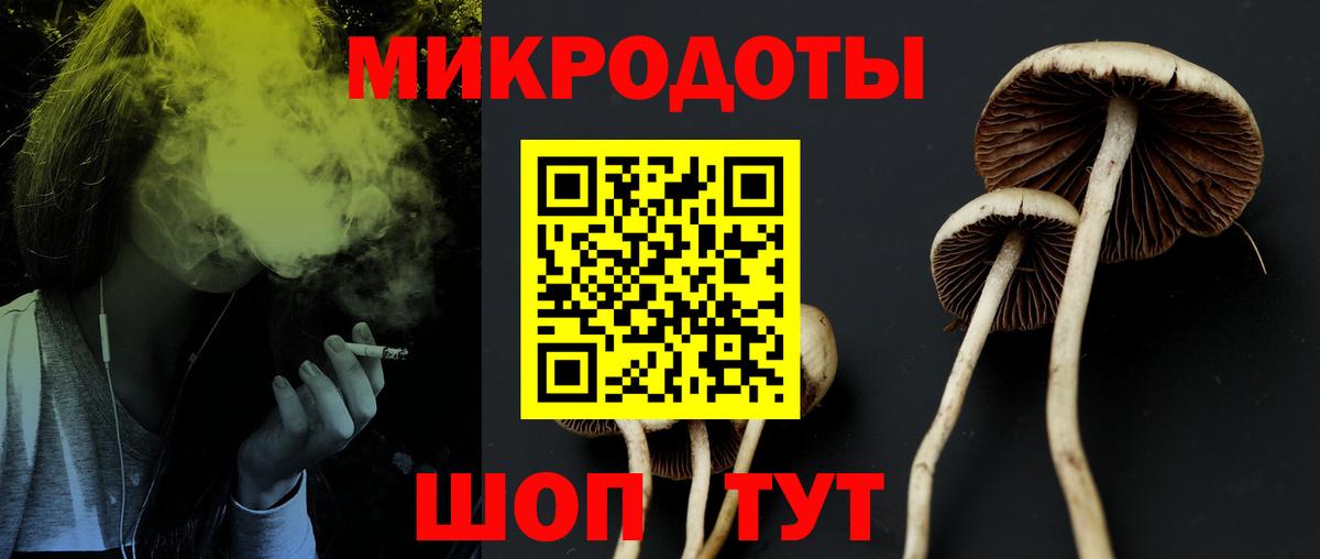 Ачхой-Мартан  Псилоцибиновые грибы мухоморы  Вход с VPN 